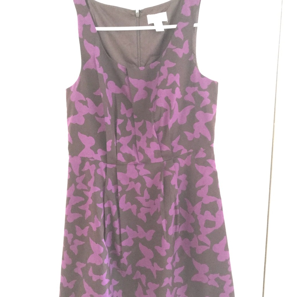 Loft purple bufferfly print dress